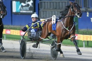 Smoken Up is headed for the spelling paddock