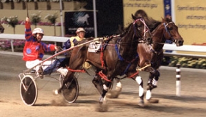 Smooth Satin at the top of his game winning the 2002 Inter Dominion Final at Harold Park