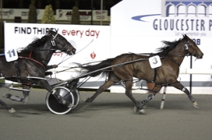 2008 Mt Eden Sprint winner Sneakyn Down Under will start favourite to win the 2008 Village Kid Sprint