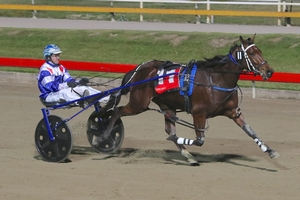 Luke McCarthy and Carlas Pixel team up again in the Gr.1 UBET Blacks A Fake at Albion Park this Saturday night