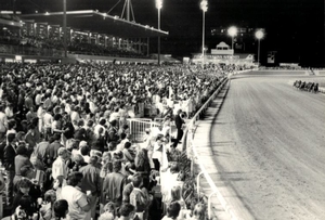 Part of the crowd at the 1989 Perth Inter Dominion - the first of three Championships that Ray Donnell was responsible for preparing the Gloucester Park 