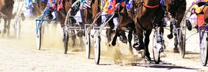 From November 1 until January 31 NSW trainers will recieve a drought assistance fee for their starters.