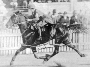 Pearl Kelly - the first woman to land a trotting winner in Perth in action at the WACA Ground track in 1913