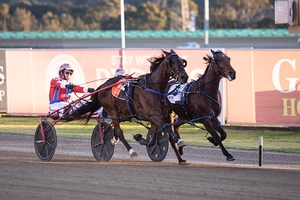 Ignatius sticks to his guns to wear down Bright Energy and score a sturdy victory at Tabcorp Park Menangle today.