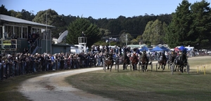 Tourello Standardbreds