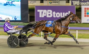 G1, Allwood Stud Farm 2YO Fillies Westbred Classic winner Double Expresso