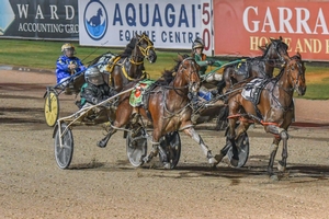 Queensland mare Pelosi will be trying her luck in the Group 3 at Tabcorp Park Menangle tonight (Saturday).