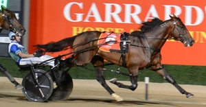 King Of Swing NZ - Miracle Mile