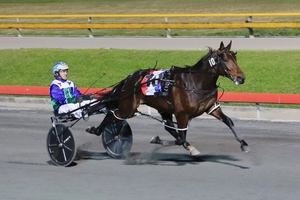 Hard run is just what Ego needed 1