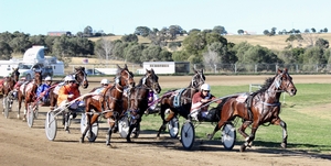 Queensland Harness Racing wrap 1