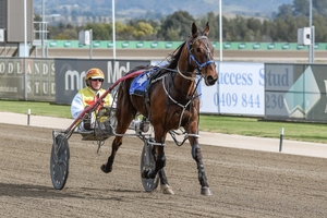 Titian Raider and driver Glenn McElhinney will be out to win for trainer Harry Martin at Menangle tonight.