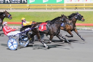 QBRED trotter searching for success in $200,000 Group 1 1