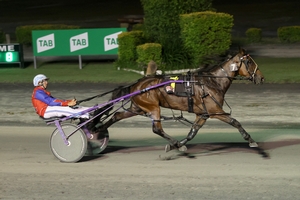 Queensland harness racing wrap 1