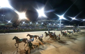 Best Published Action or Still Photograph - Greg Porteous 