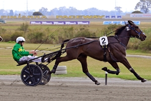 Nickys Son getting the win on Monday at Pinjarra.