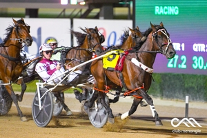 Hondo Grattan Stakes winner Republican Party sporting the specially-designed saddlecloths that provides sectional data information.