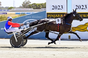 Lion Queen hitting the line strong.