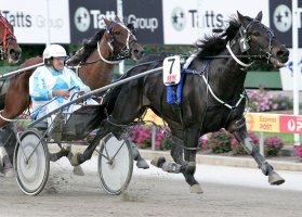 Lance Justice guides to victory at Moonee Valley. They will chase an even bigger success in the Group 3 Tontine Pacers Series Final.
