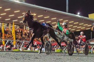  2023 Australian Trotter of the Year - Just Believe 