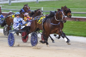  Merlin - NZ Pacing Free For All Win 2024