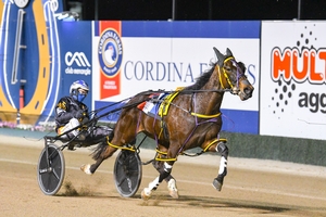 Never Ending.  Photo courtesy HRNSW