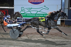 Jackpot Joe winning the Denmark Cup