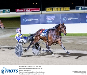 Fox Dan - Photo Courtesy of Stu McCormick