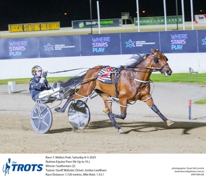 Seathestars - Photo courtesy of Stu McCormick