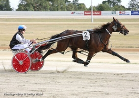 Captain Joy Sprouts Wings - by Emily Wild - 2009 Winner of the Joseph Coulter Photography Award