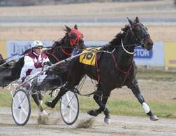 Bettors Strike won his third straight Australian feature by winning the Tasmania Cup