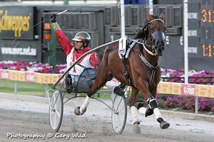 Chris Lang salutes the crowd after winning the 2010 Trotters Inter Dominion