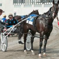 Monkey King: 2009/10 Barastoc Grand Circuit Champion