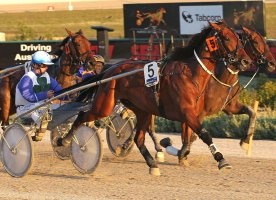 Zanzi Bromac is this year's Tontine Trotters Series champion