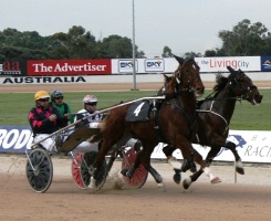 Saybia (outside) with Mark Webster in the bike. The Claire Goble trained trotter took out the 2010 Gramel Series at Globe Derby Park