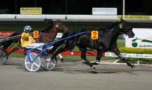 Feelin' Fit: Mr Feelgood wins opening leg of new Barastoc Grand Circuit season, the Garrards QPC at Albion Park