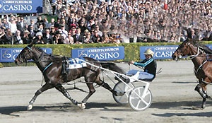 Cups King; New Zealand champion Monkey King goes back-to-back