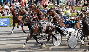 History Created: Monkey King became the first horse to win consecutive NZ Cup / FFA features