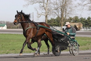 New Benchmark; Noel Daley believes a sub 1.50 mile 'downunder' is just around the corner