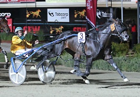 Magic Moment:  Mr Feelgood wins the 2010 SEW Eurodrive Victoria Cup for Luke McCarthy