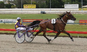 Snub; Torque In Motion has been overlooked for the Ladyship Mile