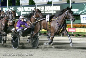 Blacks A Fake - first recipient of the Our Sir Vancelot Distinguished Service Award.  Photo copyright Gary Wild