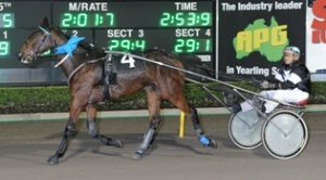 Our Dolly Would after last week?s NSW Trotters Oaks.