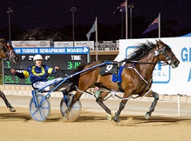 2011/2012 Australasian Pacers Grand Circuit Champion - Smoken Up NZ
