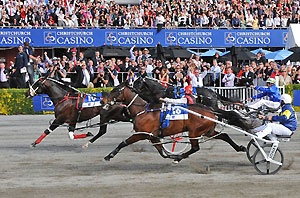 Star Power:  Brilliant 4YO Terror To Love claims the New Zealand Cup