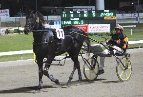 2012 2YO Fillies winner Lady White Water