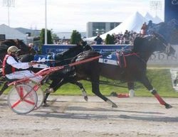 Terror To Love snatches his 2nd New Zealand Cup victory while it was driver Ricky May's sixth win in the prestigious event
