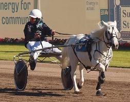 Whispering Gypsy wins Ponies Miracle Mile