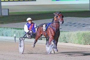 Im Stately, pictured as a 2YO, won the Central Victorian Trotting Championship Final today at Charlton. 