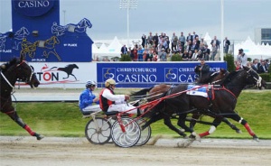Threepeat: Champion pacer Terror To Love won his third New Zealand Cup today at Addington