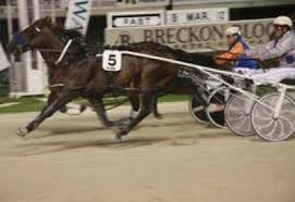 New Recruit: Classy Kiwi Five Card Draw (pictured beating Ohoka Punter) has joined the stables of Darrel Graham